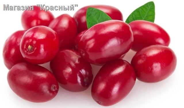 Просмотр фото... Кизил