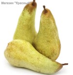 ����� ����� ���������